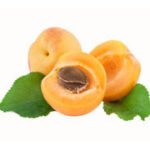 Extra Quality Apricot