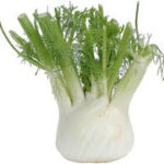 Fennel