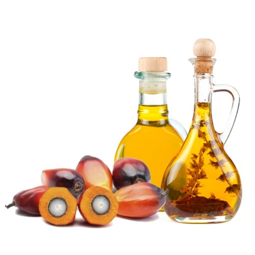 palm-vegetable-oil-500x500-1.jpg